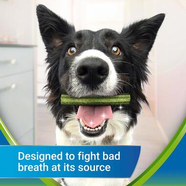 Dentalife Activfresh designed to fight bad breath at its source
