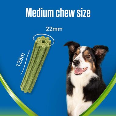 Dentalife Activfresh medium chew size