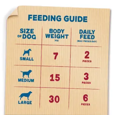 Feeding Guide