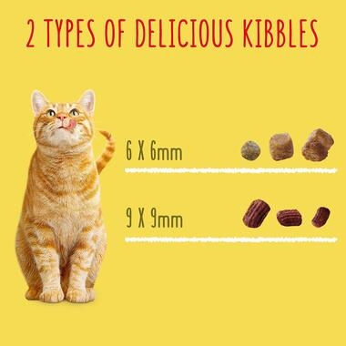 2 types of delicious kibbles