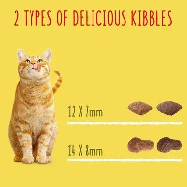 2 types of delicious kibbles
