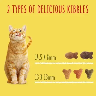2 types of delicious kibbles