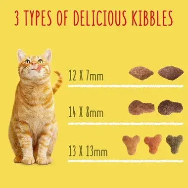 3 types of delicious kibbles