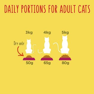 Daily portions for adult cats