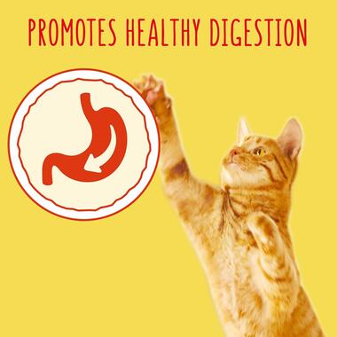 Promotes healthy digestion