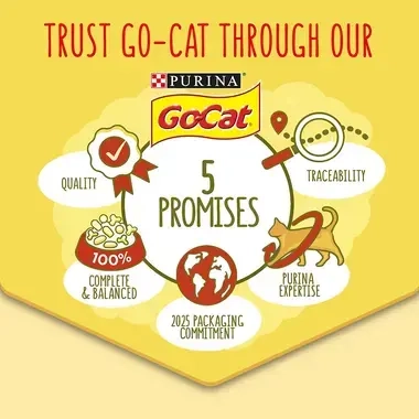Trust Go-Cat Through our 5 Promises