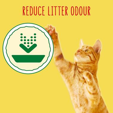 Reduce litter odour
