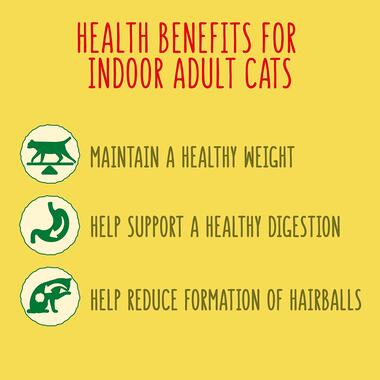 Health benefits for indoor adult cats