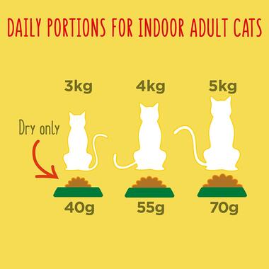 Daily portions for indoor adult cats