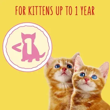 For kittens up to 1 year