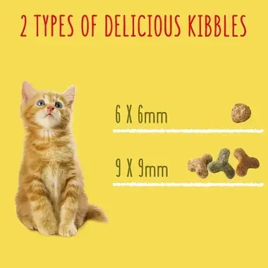 2 types of delicious kibbles