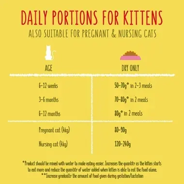 Daily portions for kittens