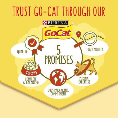 Trust Go-Cat Through our 5 Promises