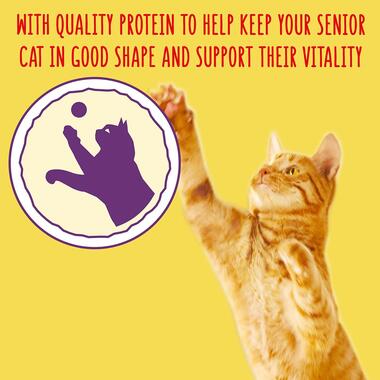 With quality protein to help keep your senior cat in good shape and support their vitality