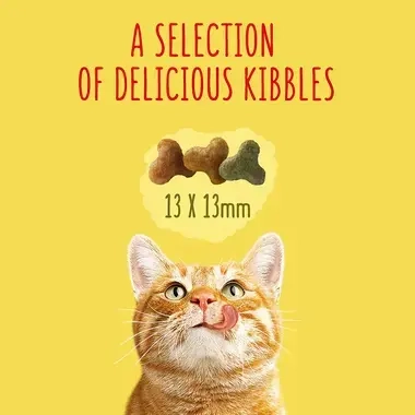 A selection of delicious kibbles