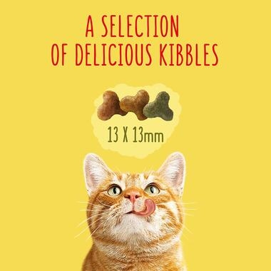 A selection of delicious kibbles