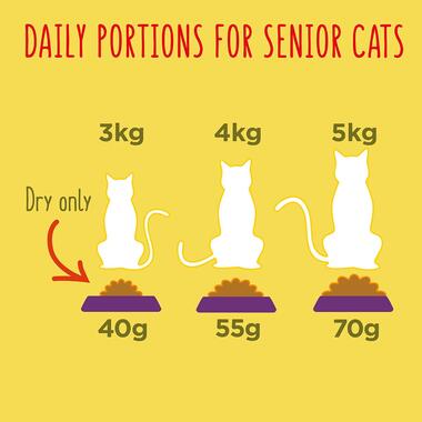 Daily portions for senior cats
