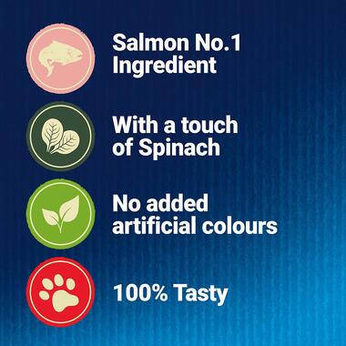 Ingredients; Salmon No.1, with a touch of spinach, no added artificial colours