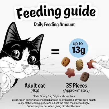 Feeding Guide