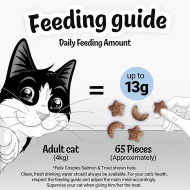 Feeding Guide