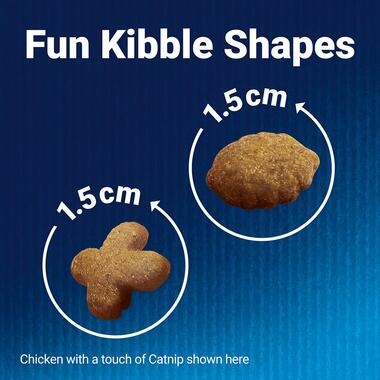 Fun Kibble Shapes