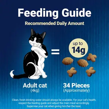 Feeding Guide