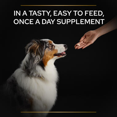 PRO PLAN® Dog Natural Defences Supplement Tablets