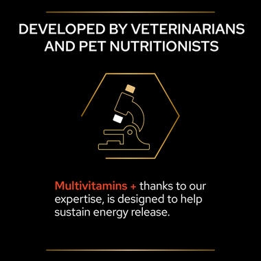 PRO PLAN® Dog Multivitamins Supplement Tablets