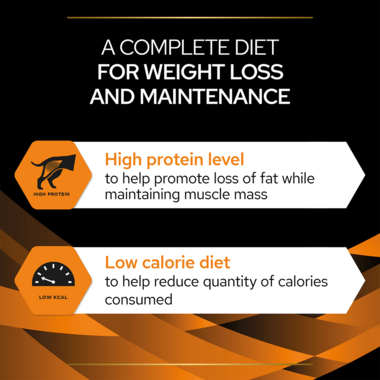 A complete diet for weight loss and maintenance