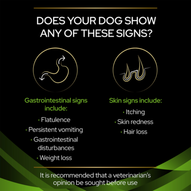Does your dog show any of these signs?