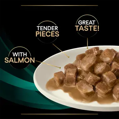 With Salmon. Tender pieces. Great Taste!