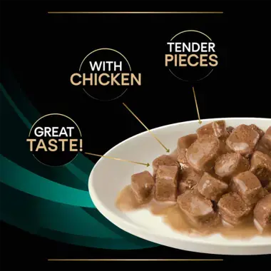 Great taste! With Chicken. Tender pieces