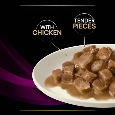 With Chicken. Tender pieces