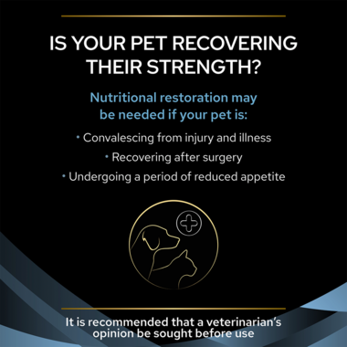 Is your Pet recovering their strength?