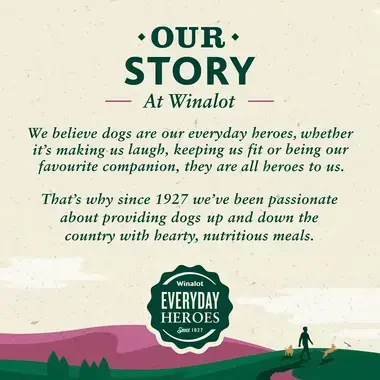 Our story at Winalot