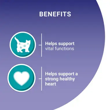 Benefits; supports vital functions, supports strong heart