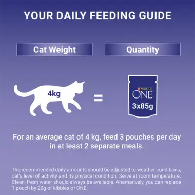 Feeding Guide