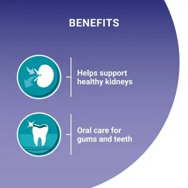 Benefits; supports healthy kidneys, oral care