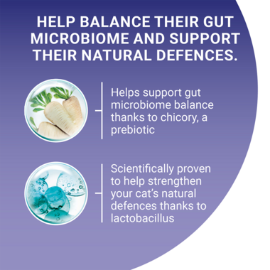 Help balance their gut microbiome and support their natural defences