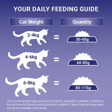 Feeding Guide