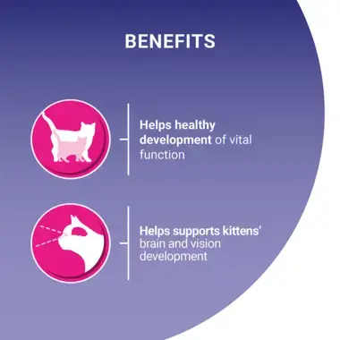 Benefits; development of vital function, supports brain and vision development