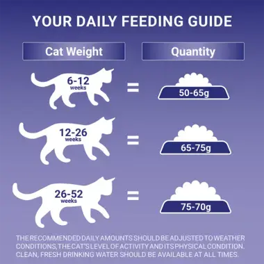 Feeding Guide