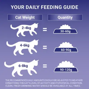 Feeding Guide