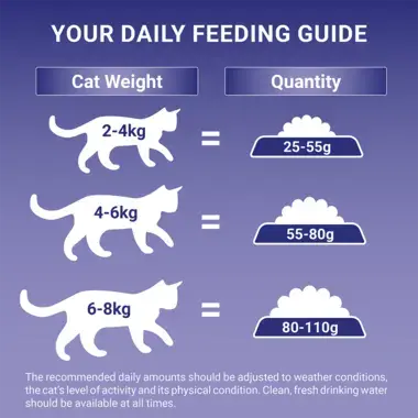 Feeding Guide
