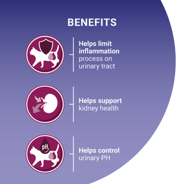Benefits on urinary tract, kidney health and urinary PH