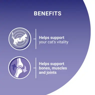 Helps support vitality and bones, muscles and joints