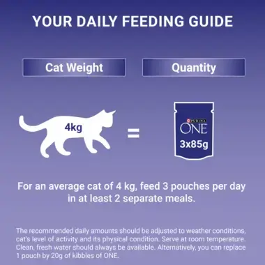 Daily feeding guide