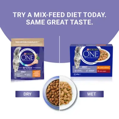 Try a mix-feed diet today