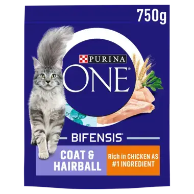 PURINA ONE® Coat and Hairball Chicken Dry Cat Food