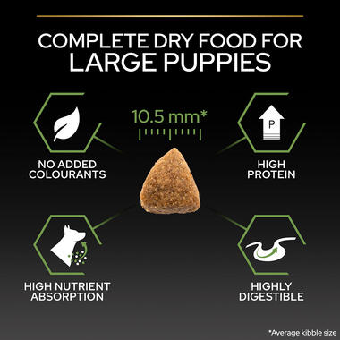 Complete dry food for large puppies